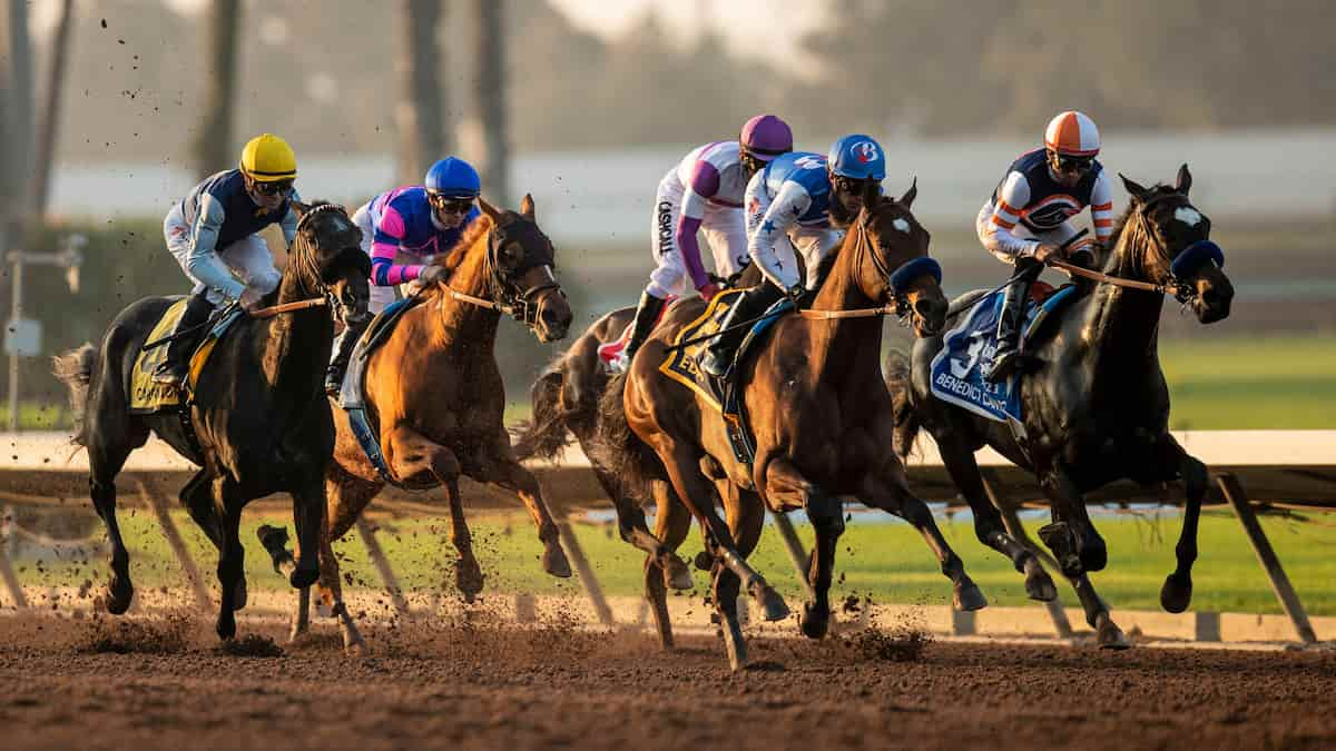 Starlet Stakes (Los Alamitos): Bob Baffert in Search of His Sixth Straight Win in This Race