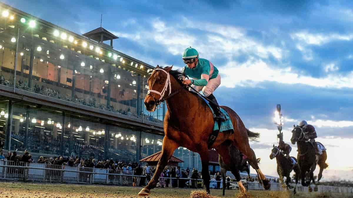 Gun Runner Stakes (Fair Grounds): An Evenly Matched Group of Seven Juveniles