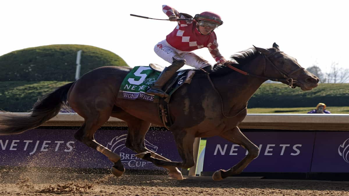 Suncoast Stakes: Wonder Wheel Makes Her First Start Since a Victorious Run In Last Fall’s Breeders’ Cup Juvenile Fillies