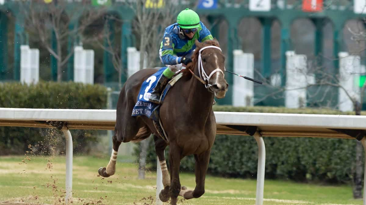 Honeybee Stakes Predictions, Odds, Picks (Oaklawn Park)