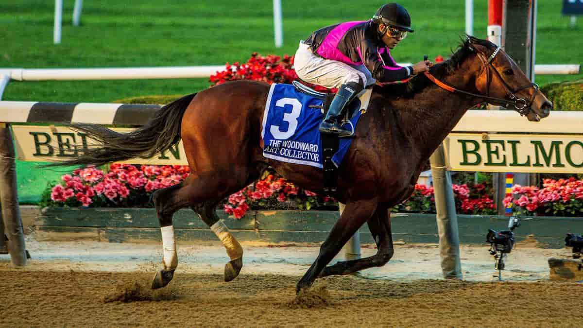 New Orleans Classic: Art Collector Is the Headliner and Horse to Beat