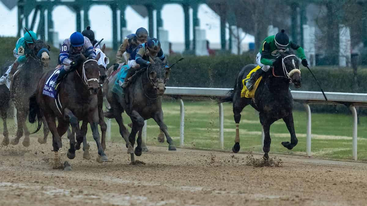 Arkansas Derby: Extra Furlong Should Not Be a Problem for the Reincarnate