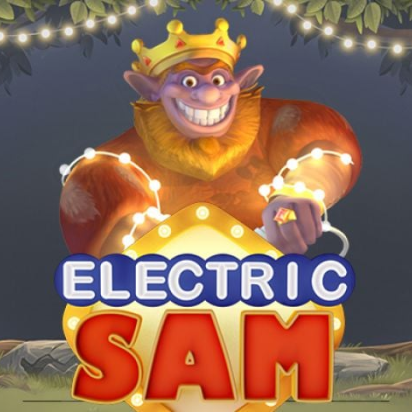 logo image for Electric Sam