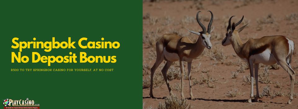 Springbok Casino No Deposit bonus of R500 Free
