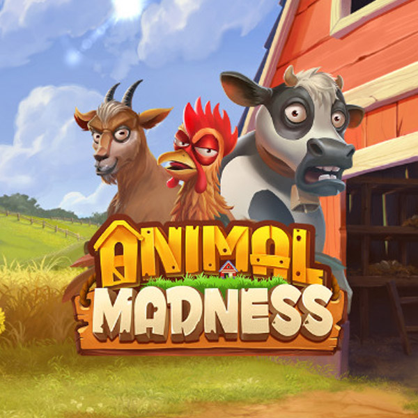 Logo image for Animal Madness Spielautomat Logo