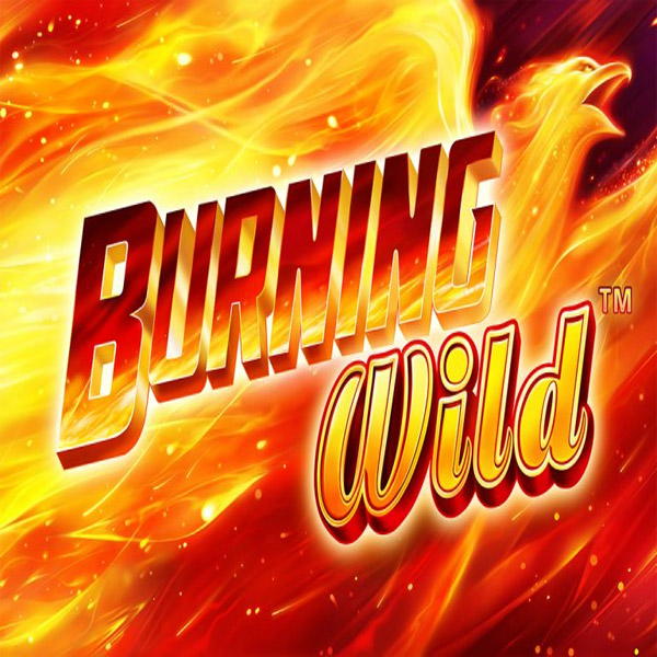 Logo image for Burning Wild