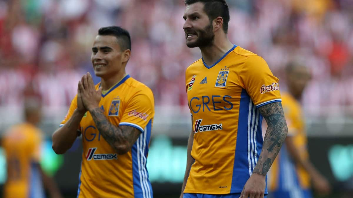 Tigres vs Guadalajara Prediction: Both Teams Have Entered the Finals Against All Odds