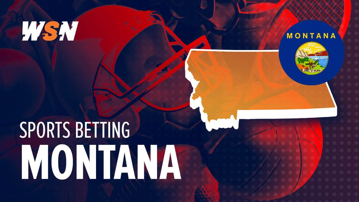 Montana Sports Betting: Best Montana Sportsbooks November 2024