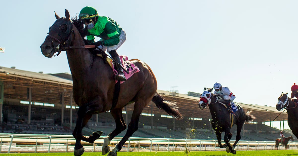 Honorable Miss Handicap Odds: Echo Zulu Returns to the Racetrack Where She Previously Excelled