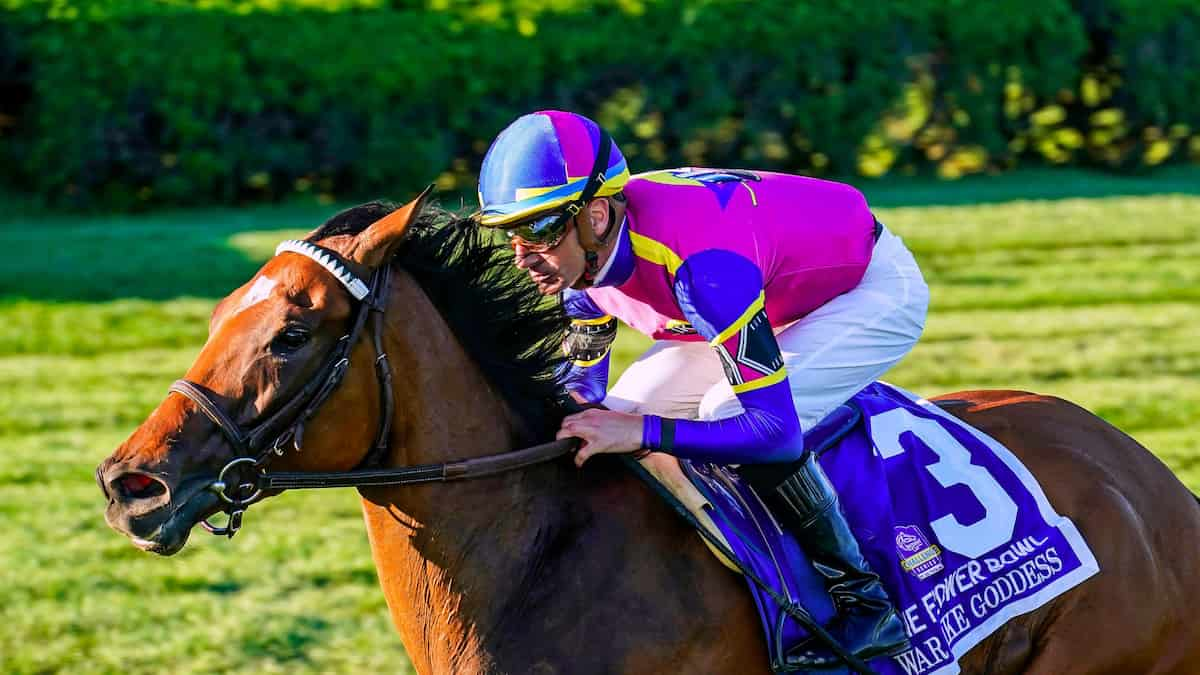 Glens Falls Stakes Odds: War Like Goddess Looks to Return to Her Winning Ways