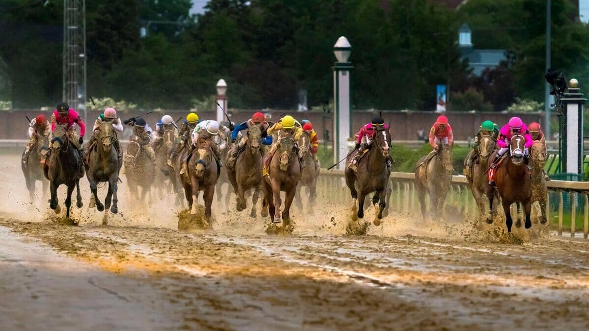 Pocahontas Stakes Odds: Qualifying Points for the Kentucky Oaks