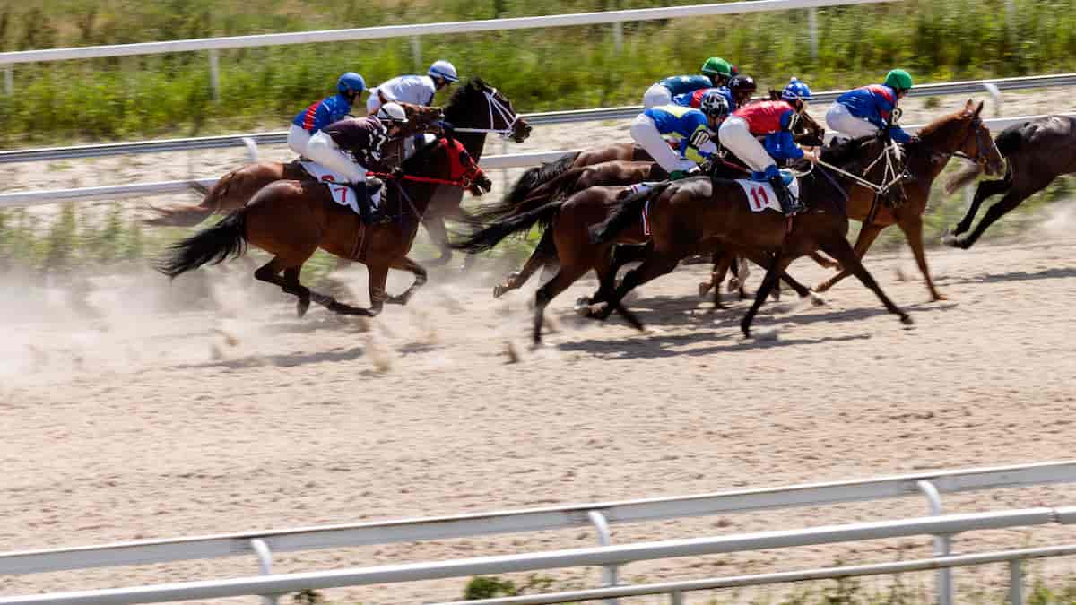 Pennsylvania Derby Odds: Saudi Crown Ready to Prove His Best on the Track