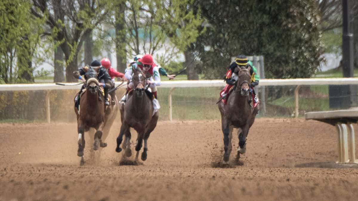 Breeders' Futurity Odds: There's a Bright Future for Quality Road