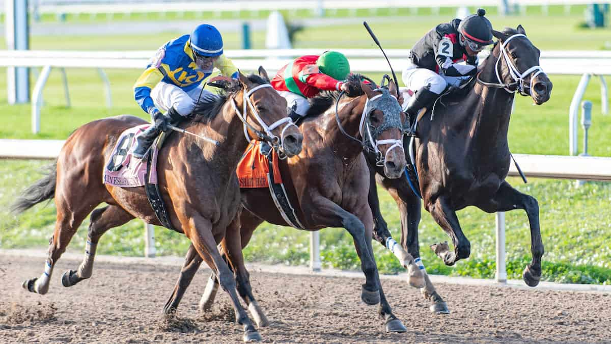 Best Horse Racing Bets Today | Fair Grounds, December 23