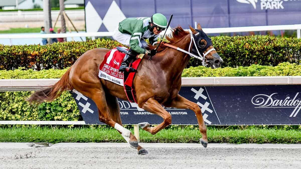 Best Horse Racing Bets Today | Gulfstream Park, January 27