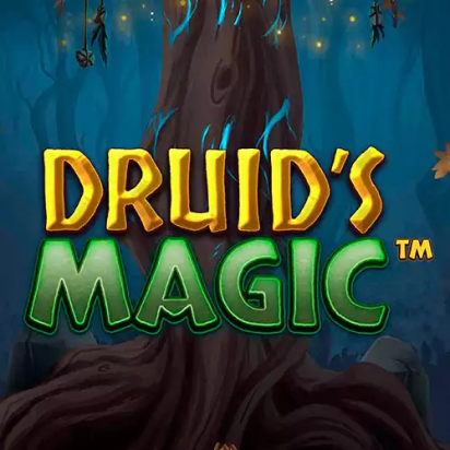 Image for Druids magic