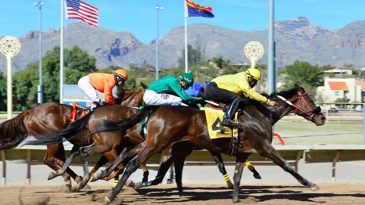 Best Horse Racing Bets Today | Gulfstream Park, March 2