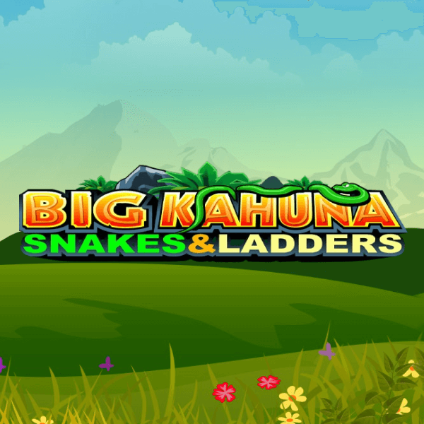 Image for Big Kahuna Snakes and Ladders Mobile Image