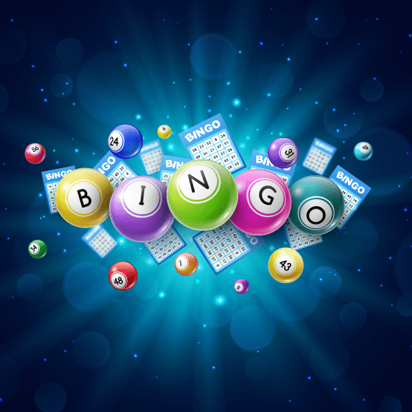 Bingo Gameplay Thumbnail