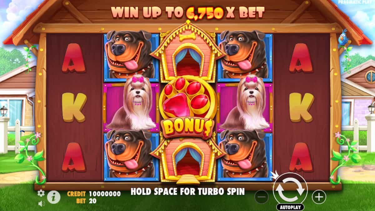 Best Pragmatic Play Casinos The Dog House