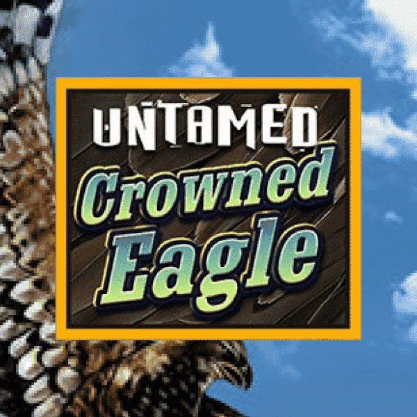 Logo image for Untamed Crowned Eagle