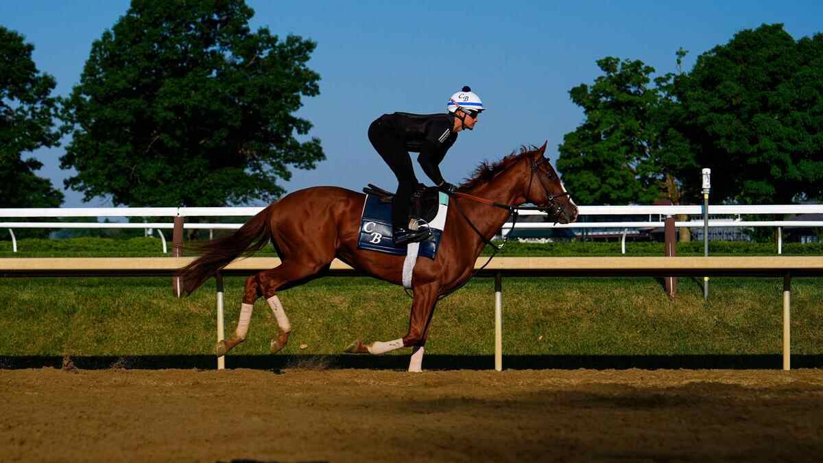 Best Horse Racing Bets Today | Saratoga, June 8