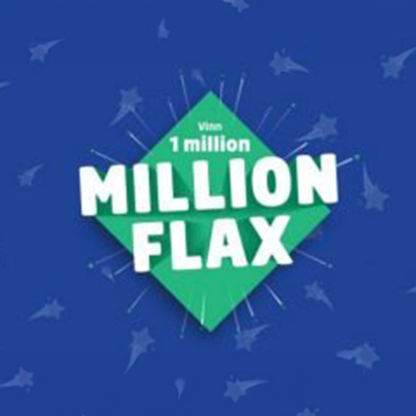 Image for Million flax