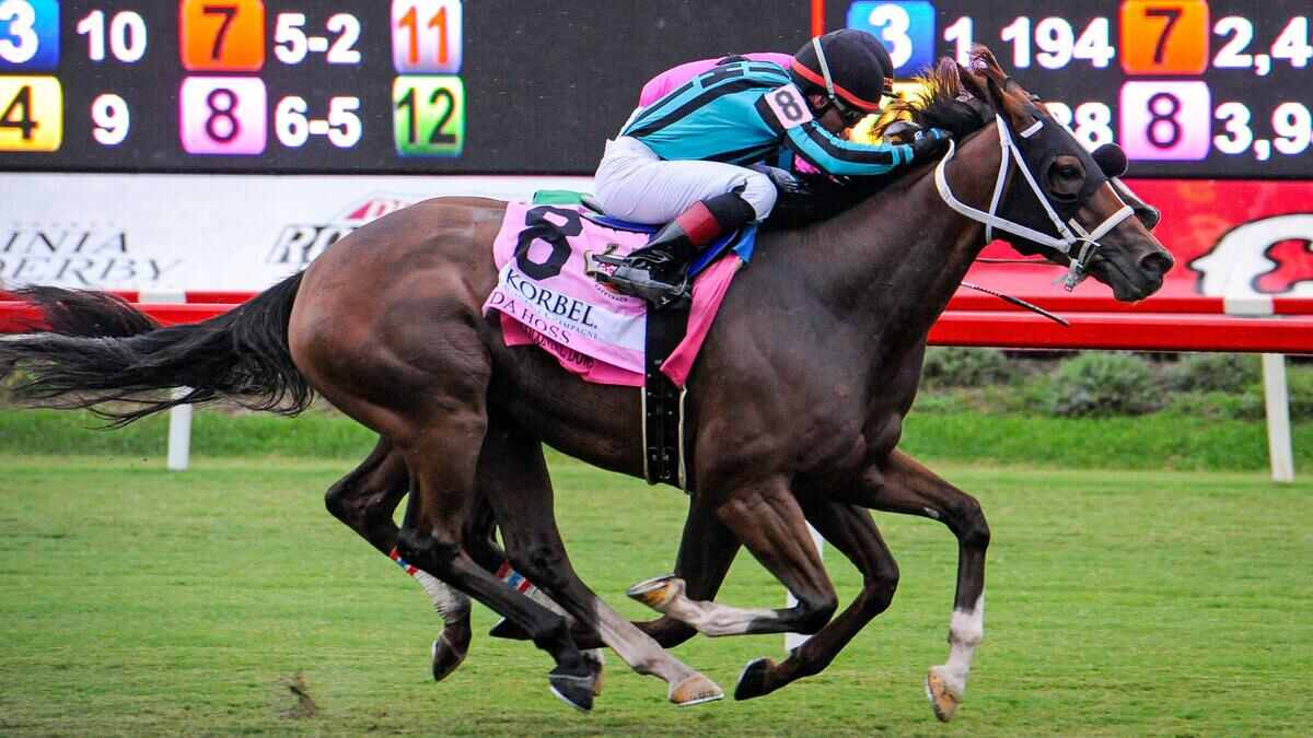 Best Horse Racing Bets Today | Colonial Downs, August 11