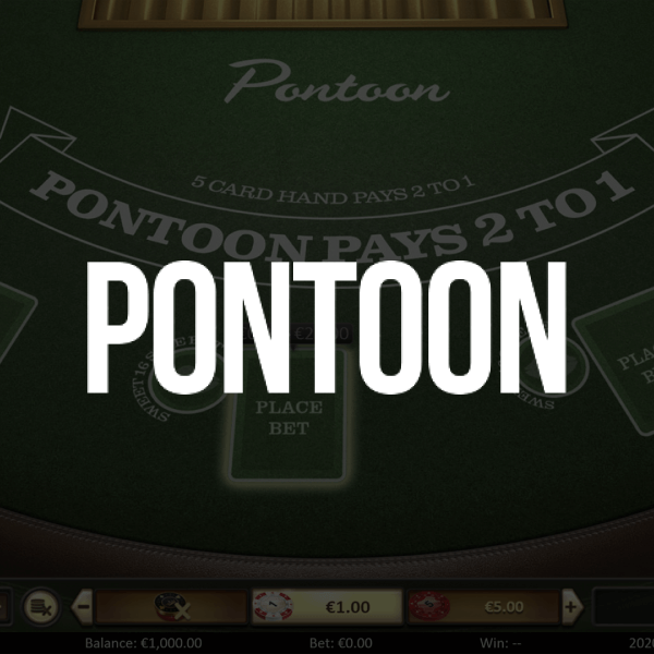 Logo image for Pontoon