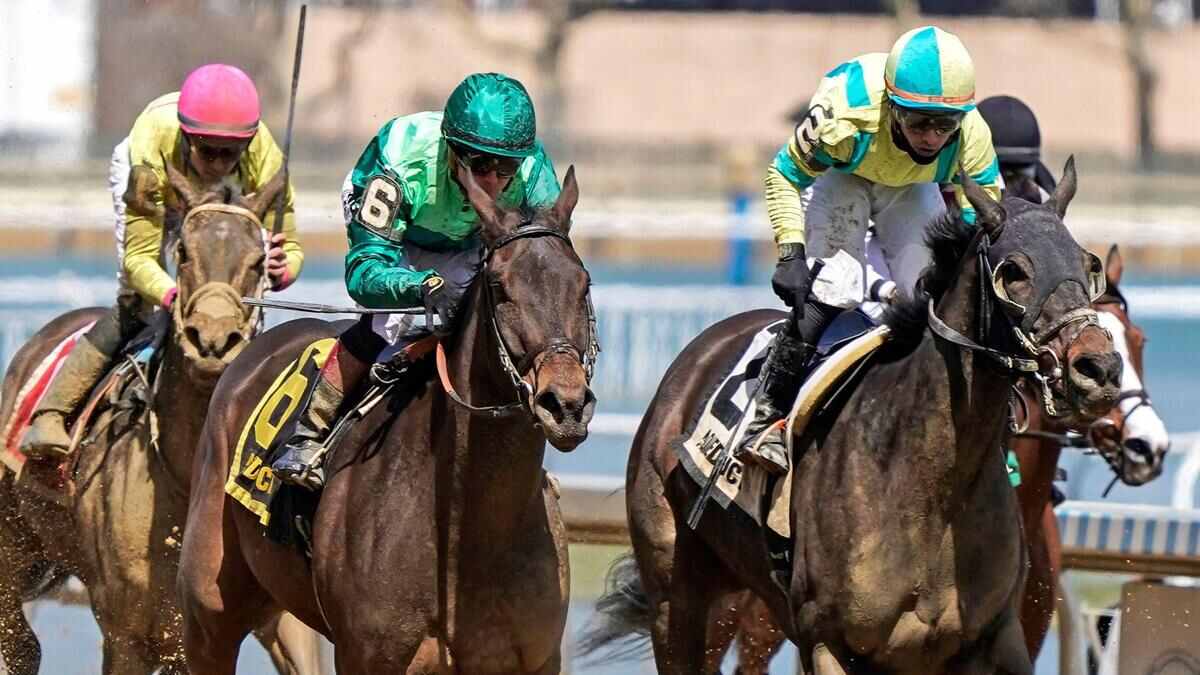 Best Horse Racing Bets Today | Aqueduct, September 28