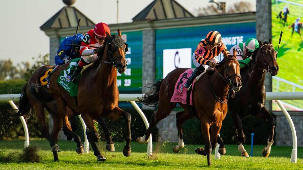 Best Horse Racing Bets Today | Keeneland, October 19