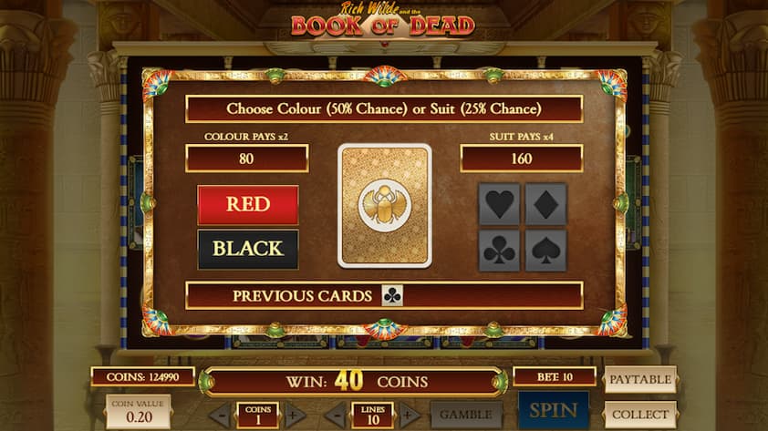 Book of Dead slot gamble feature review