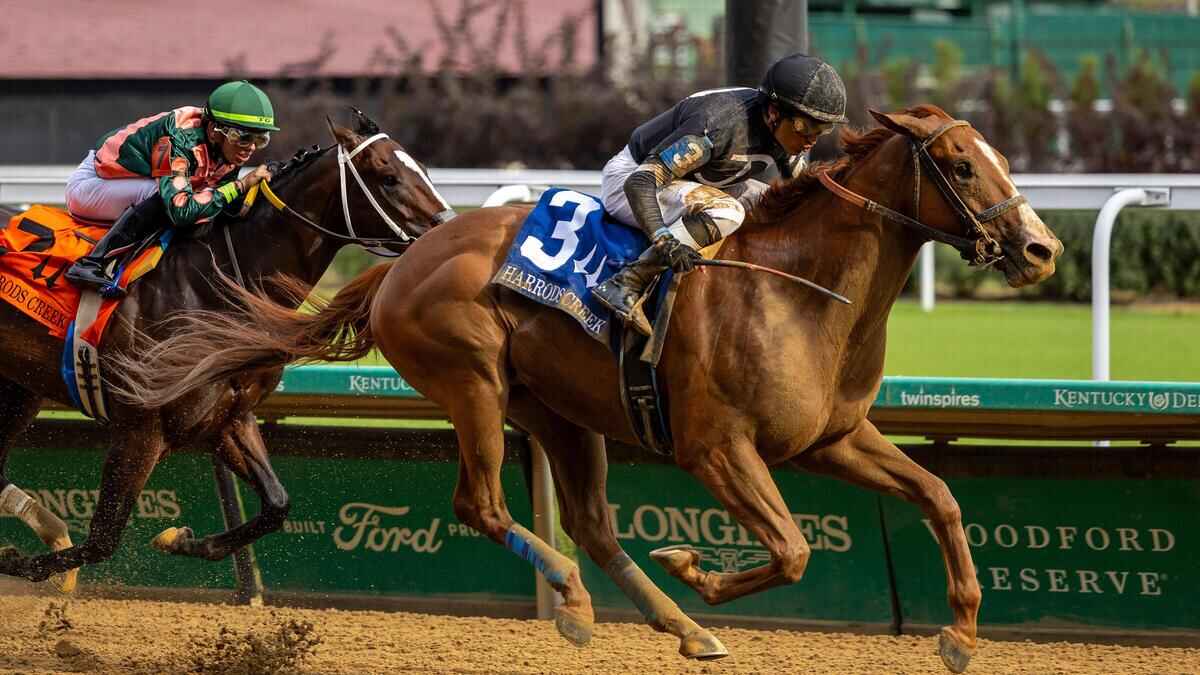 Best Horse Racing Bets Today | Churchill Downs, November 23