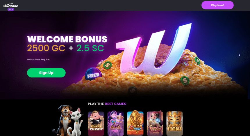 The Win Zone Casino User Experience