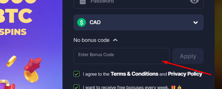 BitStarz Bonus Code Field BitStarz Casino Bonus Code field during the sign-up process