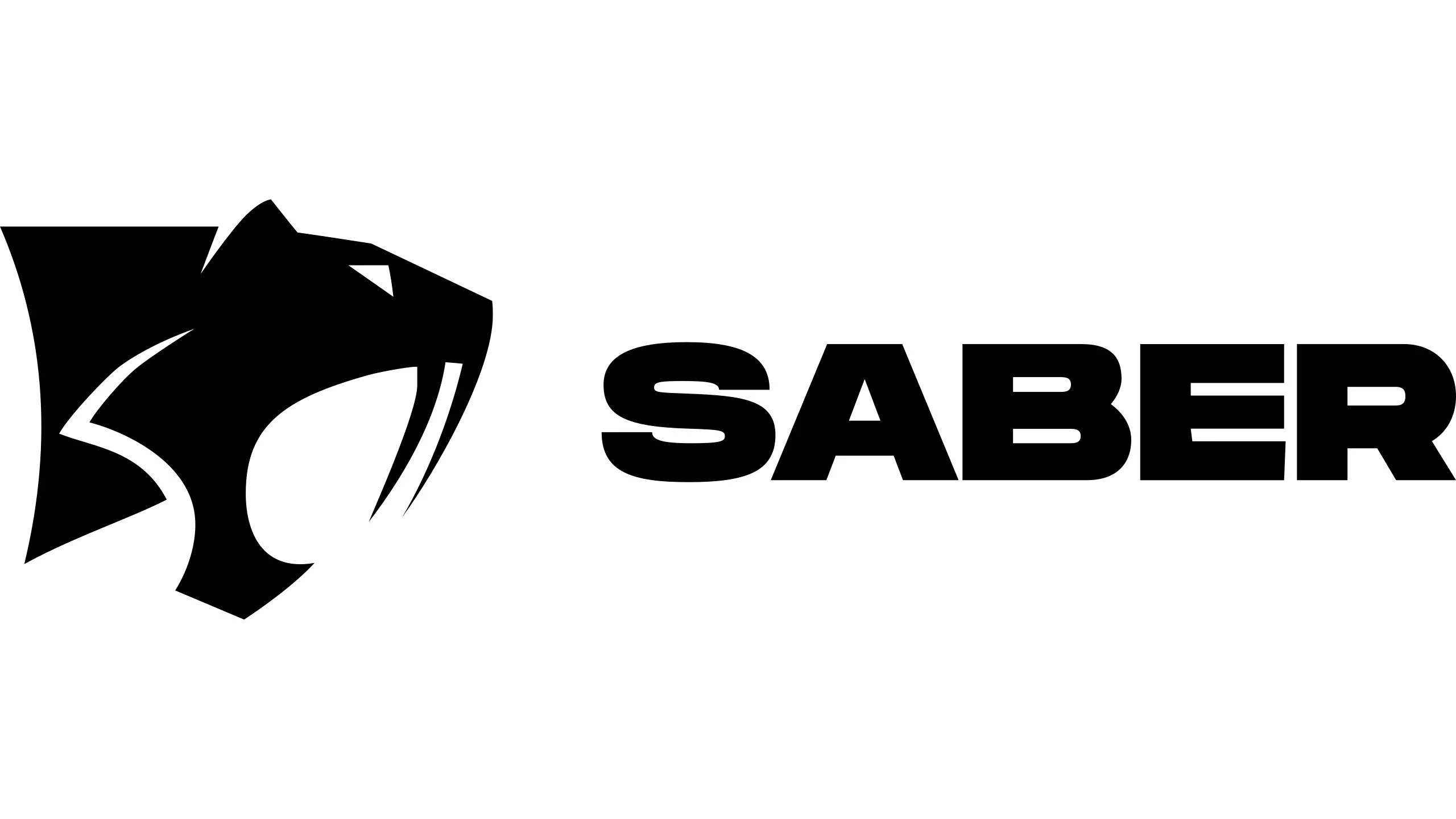 Logo image for Saber Interactive
