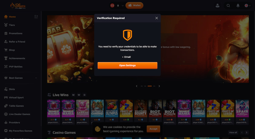 Verification Verification