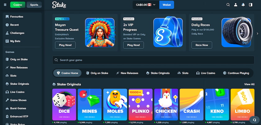 Stake Casino Desktop Experience