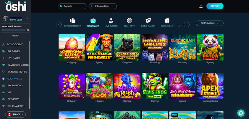 Casino Oshi Desktop Experience