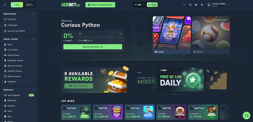 Acebet User Experience