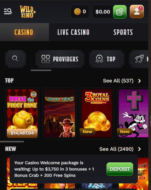 Wildsino Mobile App Experience