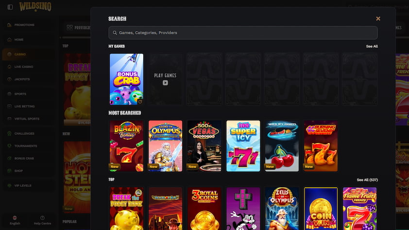 Wildsino Casino Desktop Experience