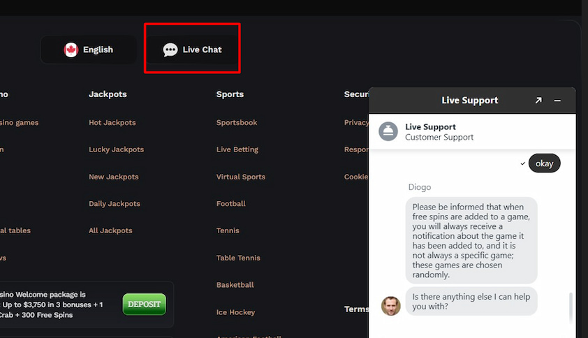 Wildsino Customer Support