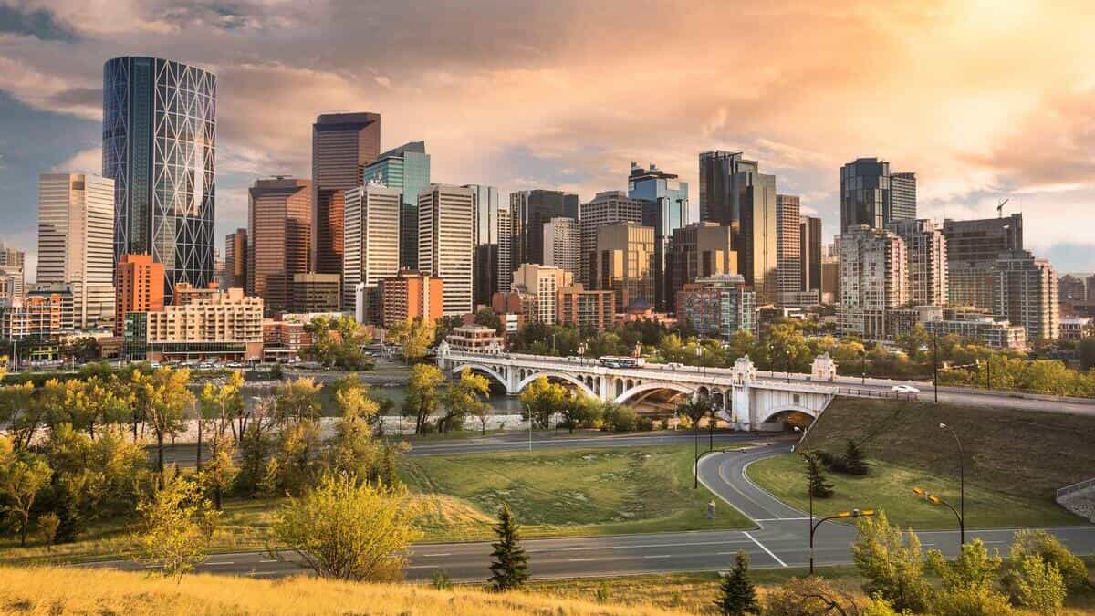 Smartest Bet Alberta Ever Made Smartest Bet Alberta Ever Made