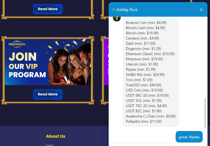 DimeSweeps live chat window listing accepted cryptocurrencies and their minimums over the promotions page