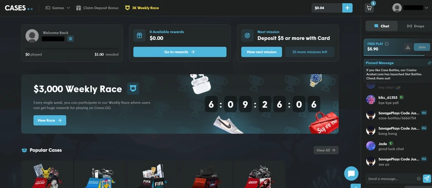Cases.gg User Experience Cases.gg User Experience