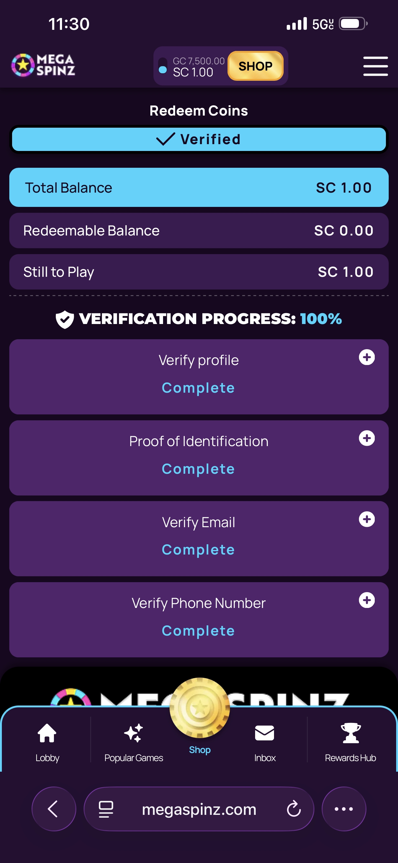 Verification process