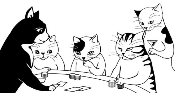 katter som spiller blackjack på casino landbasert online
