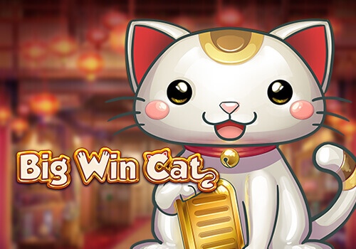 Big win cat