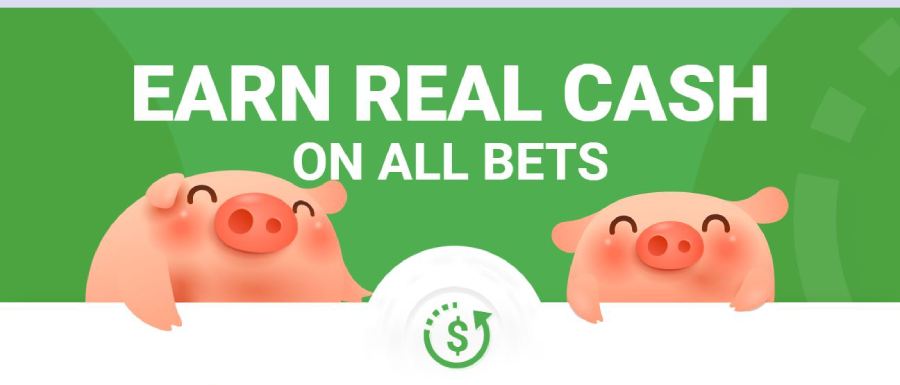 Piggy Bank cashback feature